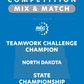 VEX IQ - Teamwork Challenge Champion
