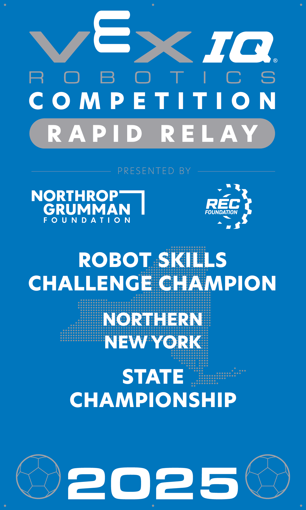 VIQC Robot Skills Challenge Champion