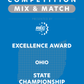 VEX IQ - Excellence Award