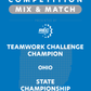 VEX IQ - Teamwork Challenge Champion