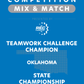 VEX IQ - Teamwork Challenge Champion