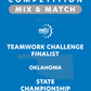 VEX IQ - Teamwork Challenge Finalist