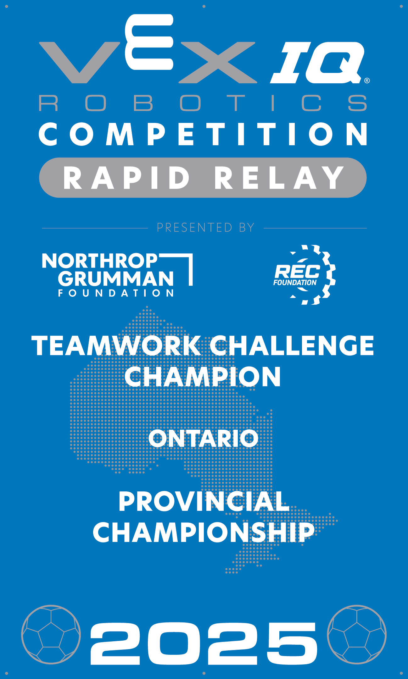 VIQC Teamwork Challenge Champion