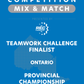 VEX IQ - Teamwork Challenge Finalist
