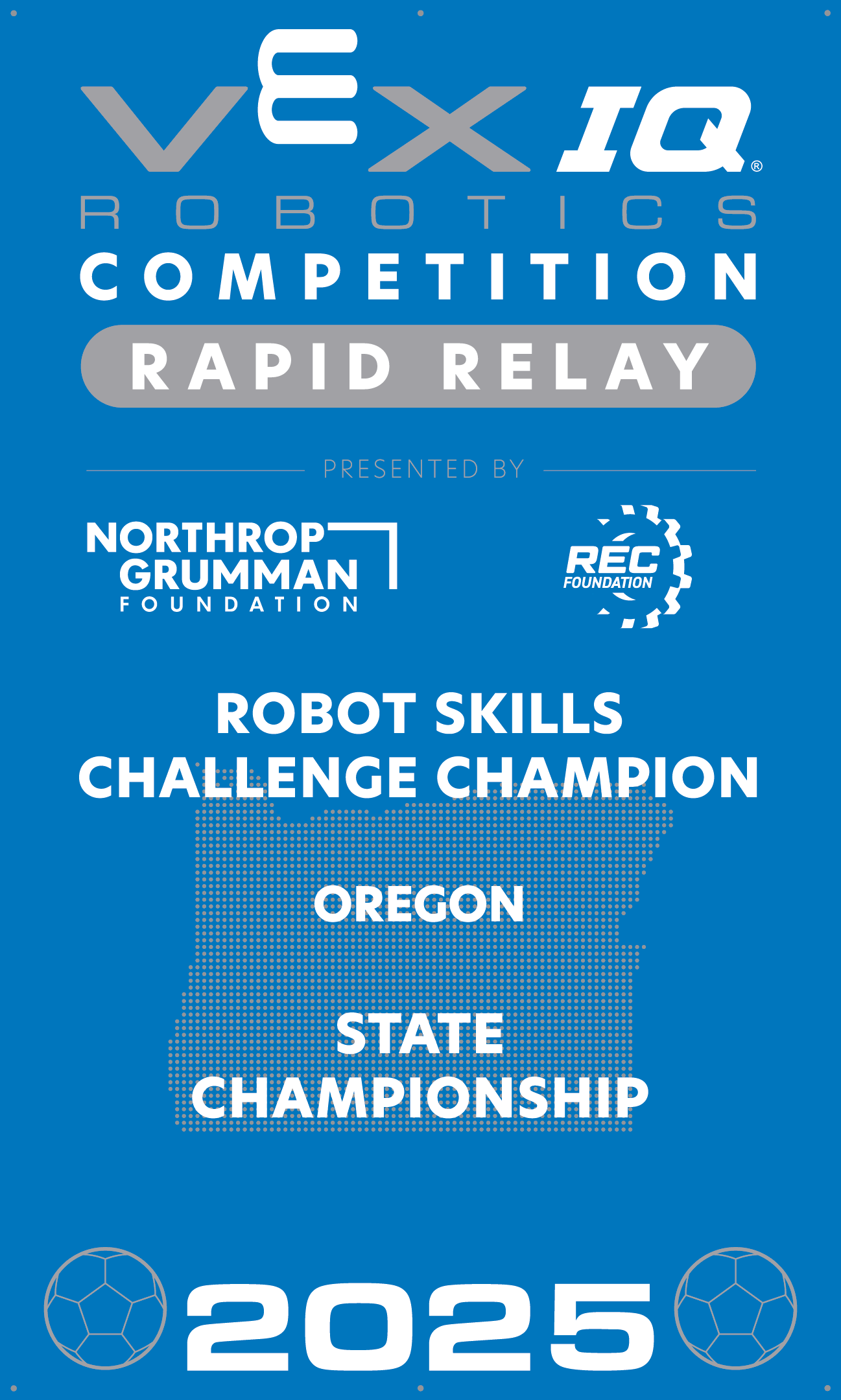 VIQC Robot Skills Challenge Champion