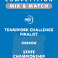 VEX IQ - Teamwork Challenge Finalist