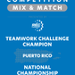 VEX IQ - Teamwork Challenge Champion