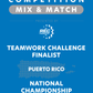 VEX IQ - Teamwork Challenge Finalist