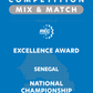 VEX IQ - Excellence Award