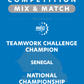 VEX IQ - Teamwork Challenge Champion