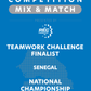 VEX IQ - Teamwork Challenge Finalist