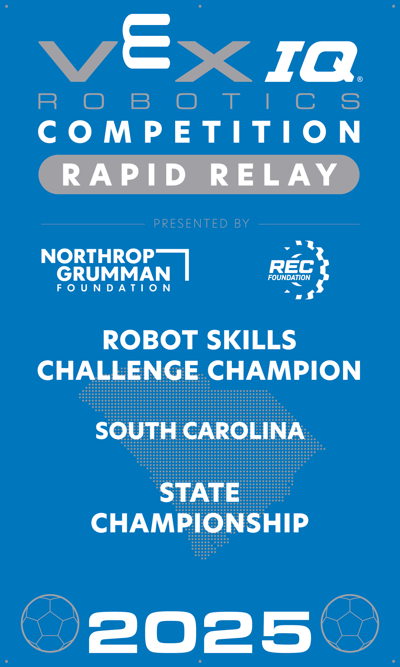 VIQC Robot Skills Challenge Champion