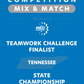 VEX IQ - Teamwork Challenge Finalist