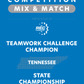 VEX IQ - Teamwork Challenge Champion