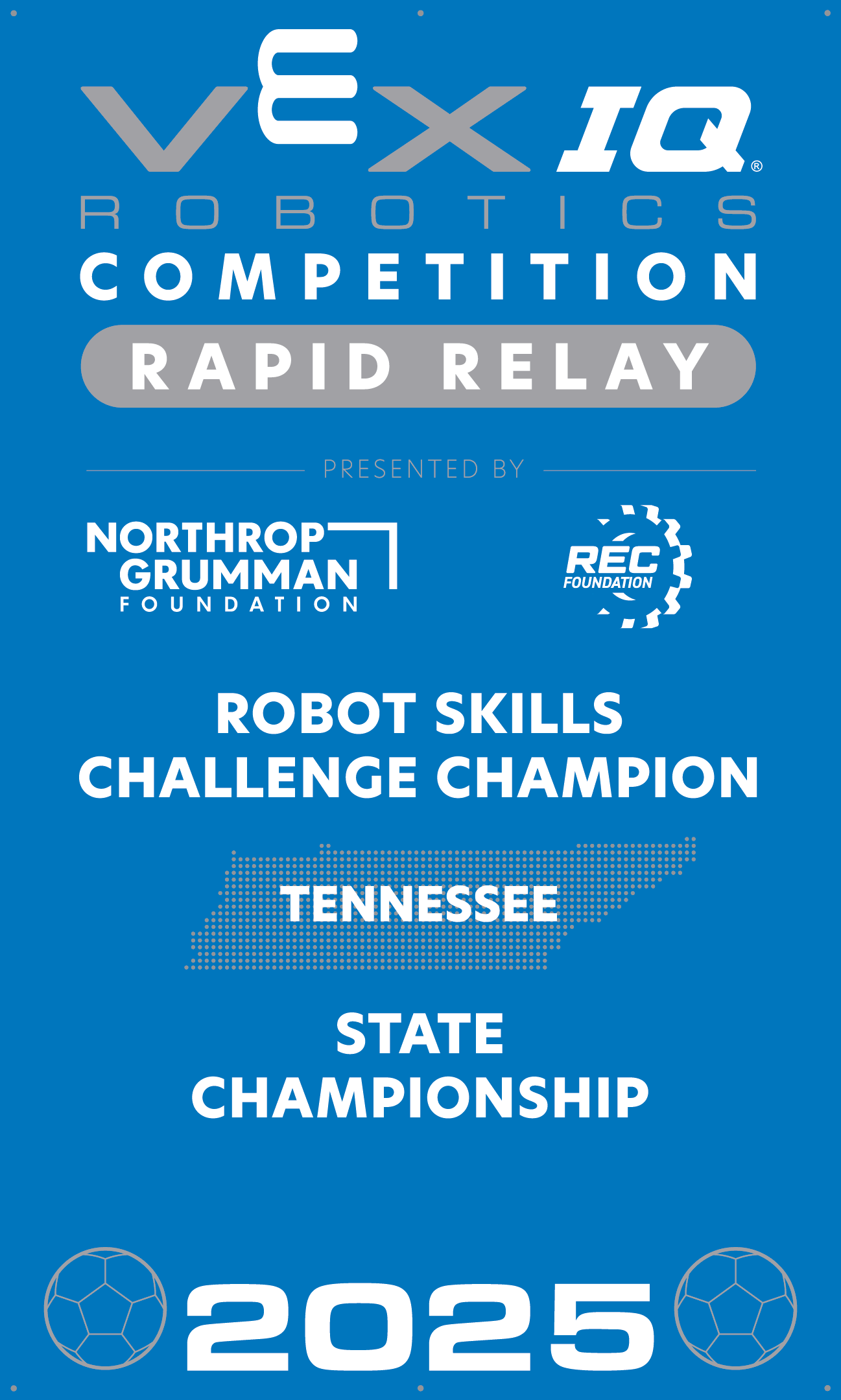 VIQC Robot Skills Challenge Champion