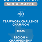 VEX IQ - Teamwork Challenge Champion