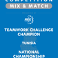 VEX IQ - Teamwork Challenge Champion