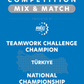VEX IQ - Teamwork Challenge Champion