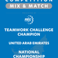VEX IQ - Teamwork Challenge Champion