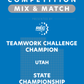 VEX IQ - Teamwork Challenge Champion
