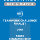 VEX IQ - Teamwork Challenge Finalist
