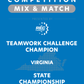VEX IQ - Teamwork Challenge Champion