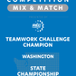 VEX IQ - Teamwork Challenge Champion