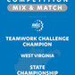 VEX IQ - Teamwork Challenge Champion