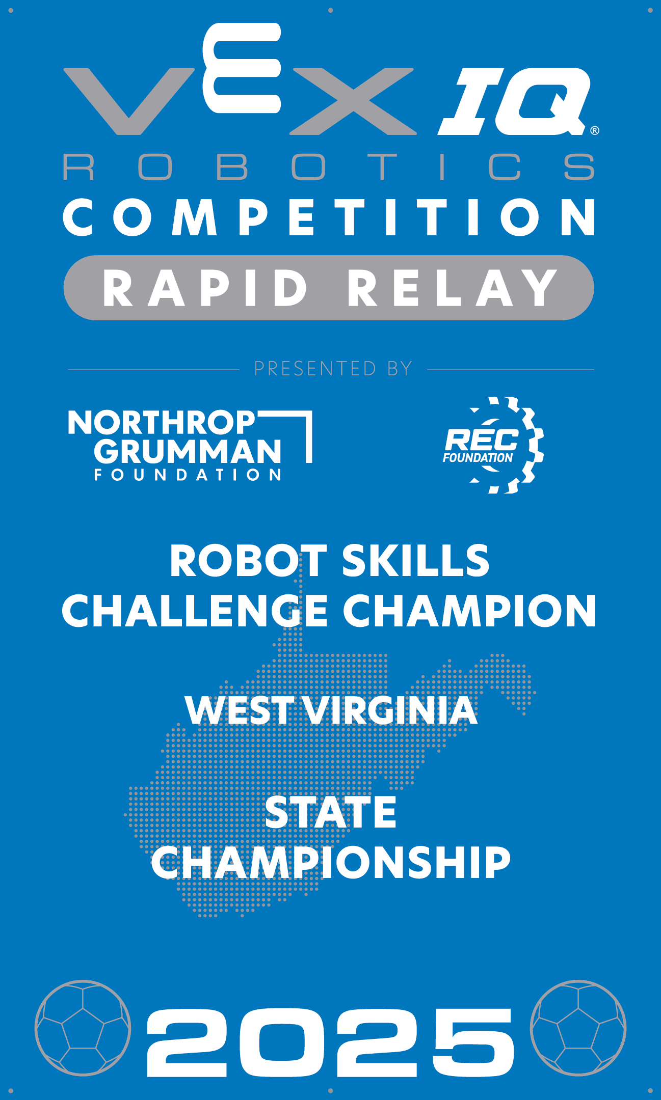 VIQC Robot Skills Challenge Champion