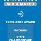 VEX IQ - Excellence Award