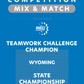 VEX IQ - Teamwork Challenge Champion