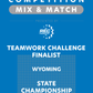 VEX IQ - Teamwork Challenge Finalist